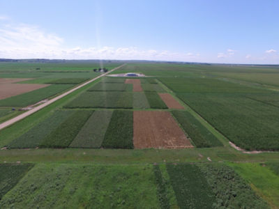 Figure 1. Drone image of crop rotation treatments, Gothenburg, NE (July 27, 2020). 